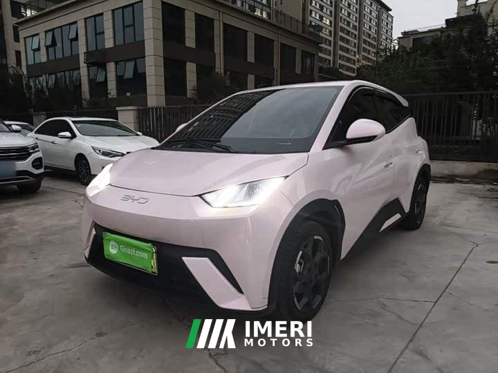 BYD Seagull 305km Freedom Edition - ავტომობილი ჩინეთიდან