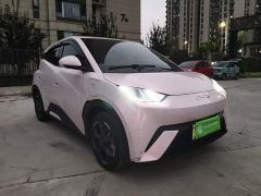 BYD Seagull 305km Freedom Edition - ფოტო 3