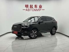 Haval H6 National Trend Edition 1.5T Automatic Champion Version - photo 1