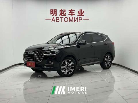2023 Haval H6 National Trend Edition 1.5T Automatic Champion Version - car from China