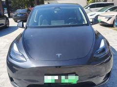 Tesla Model Y Rear-Wheel Drive - ფოტო 1