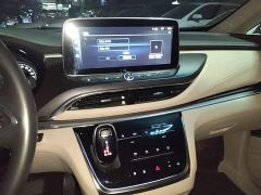 Buick GL8 Land Executive Cabin Premium - ფოტო 12