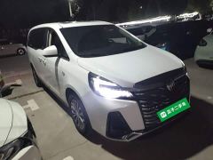 Buick GL8 Land Executive Cabin Premium - ფოტო 3