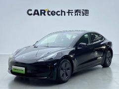 Tesla Model 3 Standard Range RWD Upgrade - ფოტო 1