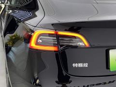 Tesla Model 3 Standard Range RWD Upgrade - ფოტო 7