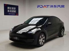 Tesla Model Y Standard Range RWD - photo 1