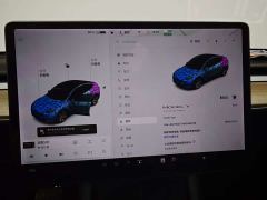 Tesla Model Y Standard Range RWD - photo 16