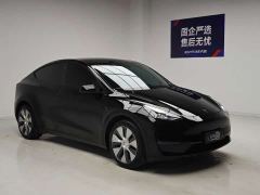 Tesla Model Y Standard Range RWD - photo 3