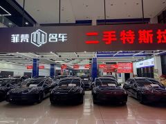 Tesla Model Y L Long Range All-Wheel Drive - ფოტო 11