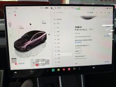 Tesla Model Y L Long Range All-Wheel Drive - ფოტო 5