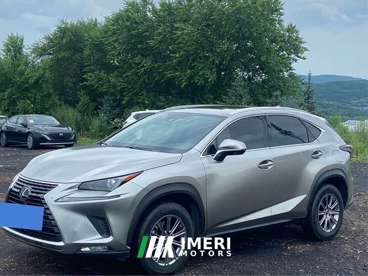Lexus NX 200 AWD Sharp Luxury Edition National VI - car from China