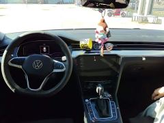 Volkswagen Magotan 330TSI DSG 30th Anniversary Edition - ფოტო 12