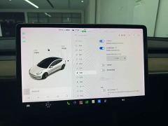 Tesla Model 3 Standard Range RWD Upgrade - фото 4
