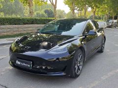 Tesla Model 3 Standard Range RWD Upgrade - фото 1