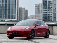 Tesla Model 3 Facelift Standard Range RWD Upgrade 3D1 - ფოტო 1