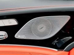 Mercedes-Benz AMG GT AMG GT 50 Four-Door Coupe - фото 19