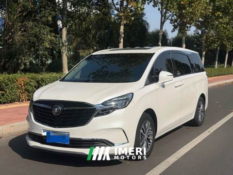 2021 Buick GL8 ES Land Respect 653T Respect Enjoyment Edition - автомобиль из Китая
