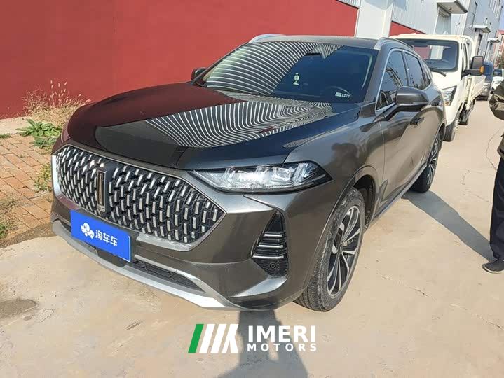 Great Wall Wei Brand Mocha 2.0T Two-Wheel Drive Rich Edition