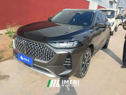 2021 Great Wall Wei Brand Mocha 2.0T Two-Wheel Drive Rich Edition - ავტომობილი ჩინეთიდან