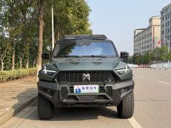 Dongfeng Mengshi 917 Extended Range Base - фото 2