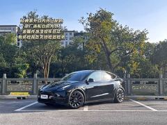 Tesla Model Y High Performance All-Wheel Drive - ფოტო 1