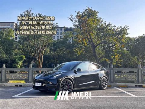 2024 Tesla Model Y High Performance All-Wheel Drive - автомобиль из Китая