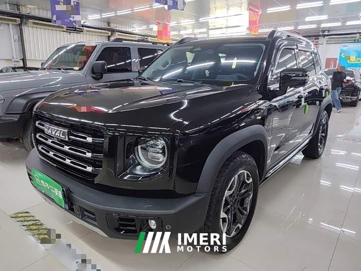 Great Wall Dachshund 2.0T DCT Four-wheel Drive Howling Heavenly Dog Edition