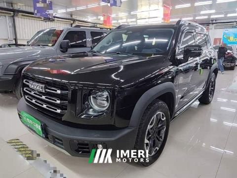 2021 Great Wall Dachshund 2.0T DCT Four-wheel Drive Howling Heavenly Dog Edition - ავტომობილი ჩინეთიდან