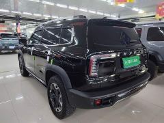 Great Wall Dachshund 2.0T DCT Four-wheel Drive Howling Heavenly Dog Edition - фото 4