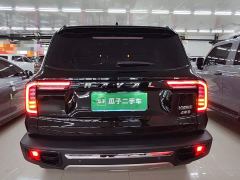 Great Wall Dachshund 2.0T DCT Four-wheel Drive Howling Heavenly Dog Edition - фото 5