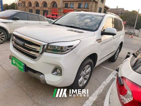 2021 Haval H9 2.0T Gasoline 4WD Premium 5-Seater - car from China