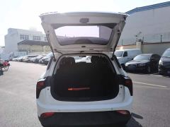 Neta V Standard Range Entertainment Edition Upgrade - photo 18