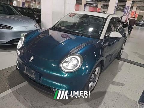 2021 Ora Good Cat 500km Long Range Poseidon Edition Ternary Lithium Battery - ავტომობილი ჩინეთიდან