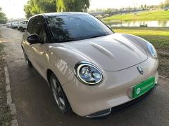 ORA Good Cat 400km Standard Range Venus Edition Ternary Lithium Battery - фото 3