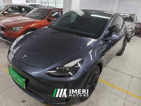 2021 Tesla Model Y Standard Range RWD - автомобиль из Китая