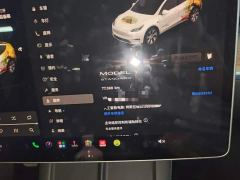 Tesla Model Y Standard Range RWD - ფოტო 11