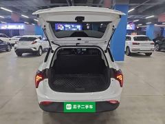 Neta V Long-Range Entertainment Edition Plus - ფოტო 18