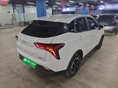 Neta V Long-Range Entertainment Edition Plus - ფოტო 6
