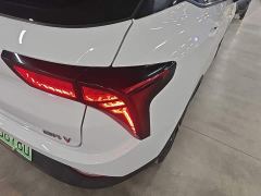 Neta V Long-Range Entertainment Edition Plus - ფოტო 7