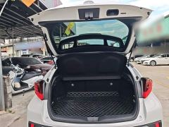 Toyota Yize IZOA 2.0L Yichi Edition - photo 18