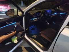 BYD Yuan Plus DM-i Champion Edition 112KM Honor Trim - photo 17