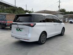 Buick GL8 New Energy Lusang Respect Edition - photo 8