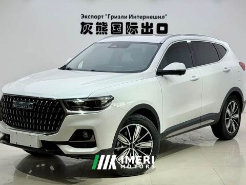 2024 Haval H6 National Trend Edition 1.5T Automatic Champion Version - car from China