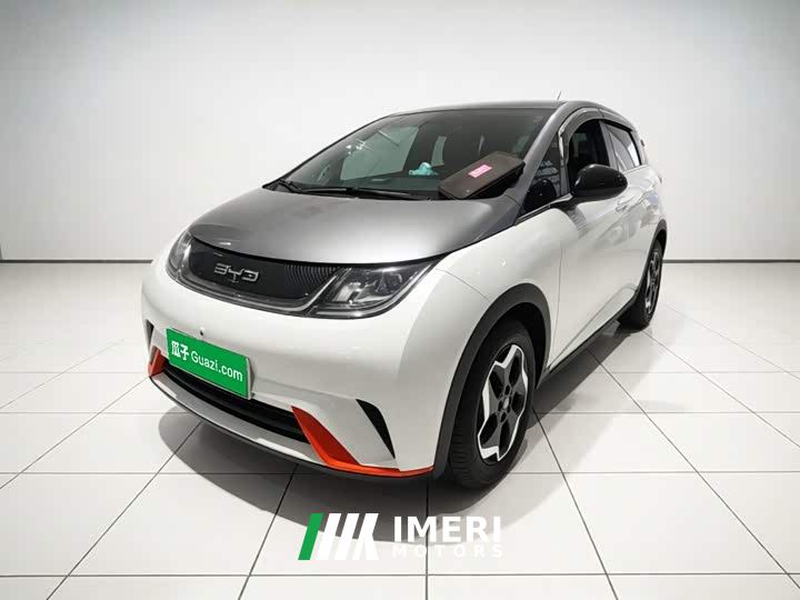 BYD Dolphin 405km Fashion Edition - автомобиль из Китая