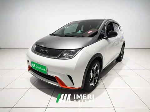 2022 BYD Dolphin 405km Fashion Edition - автомобиль из Китая
