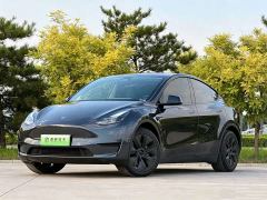 Tesla Model Y Rear-Wheel Drive - photo 1