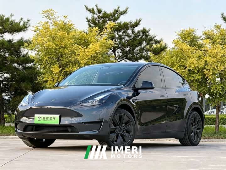 Tesla Model Y Rear-Wheel Drive