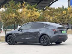 Tesla Model Y Rear-Wheel Drive - photo 18