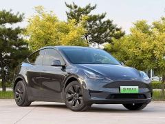 Tesla Model Y Rear-Wheel Drive - photo 3