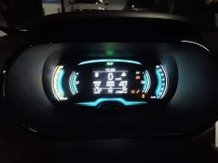 Chery Ant 251km True Love Edition LFP Battery - фото 12